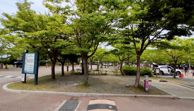 나무가 6그루나 있는 B-20사이트