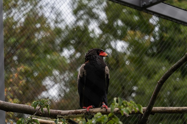 내가 실제로 가본 과천시 숨은 명소 5곳