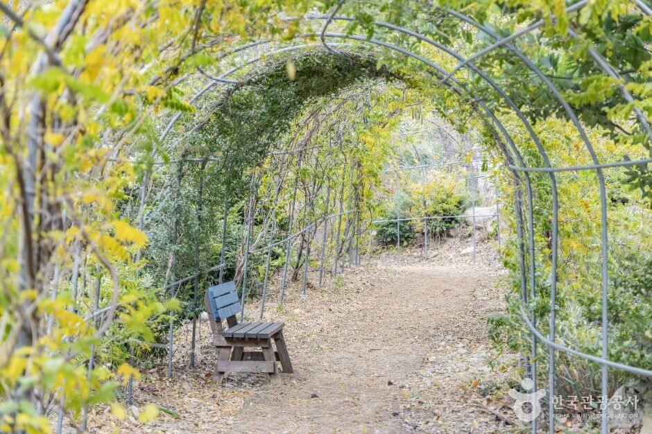 해남 포레스트수목원 입장료 총정리