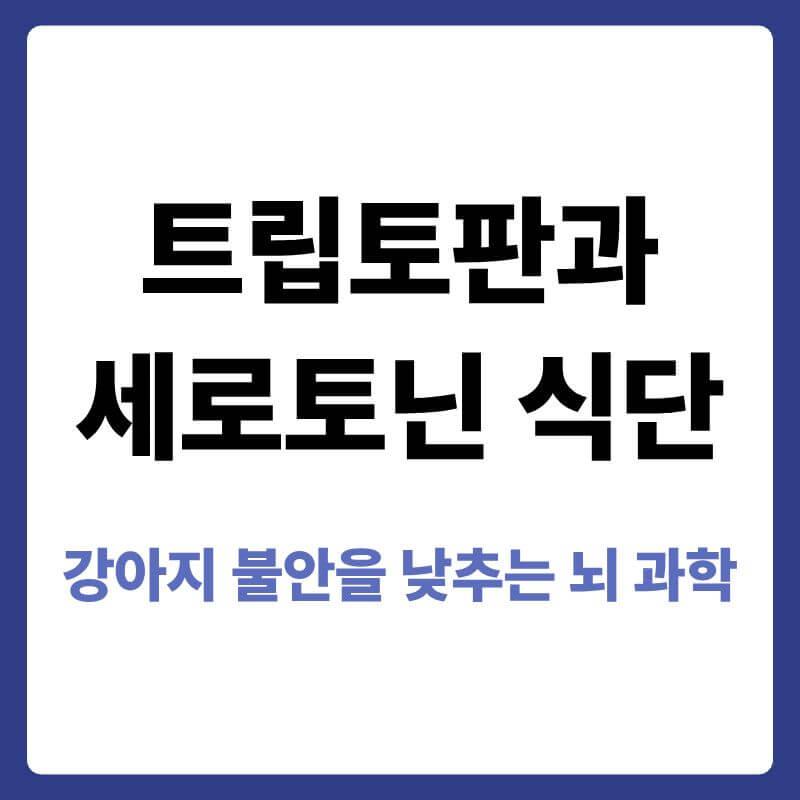 필수 아미노산인 트립토판이 반려견의 혈뇌장벽을 통과하여 행복 호르몬인 세로토닌으로 합성됨으로써 심리적 안정을 유도하는 과학적 원리를 설명하는 안내 이미지