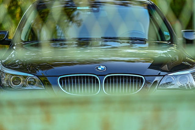 BMW 1시리즈 3시리즈 5시리즈 7시리즈 X1 X3 X5 X7 전기차 가격4