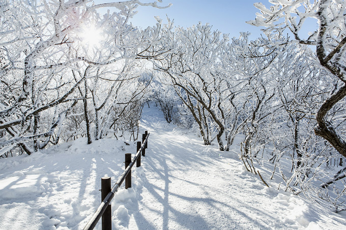 겨울 여행지 관련 이미지