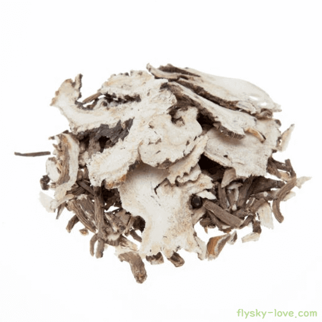 약재로 쓰이는 당귀