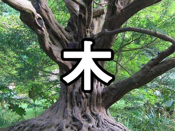사주 목 썸네일