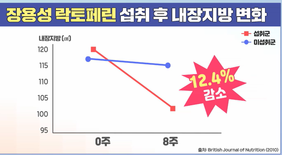 락토페린 효능