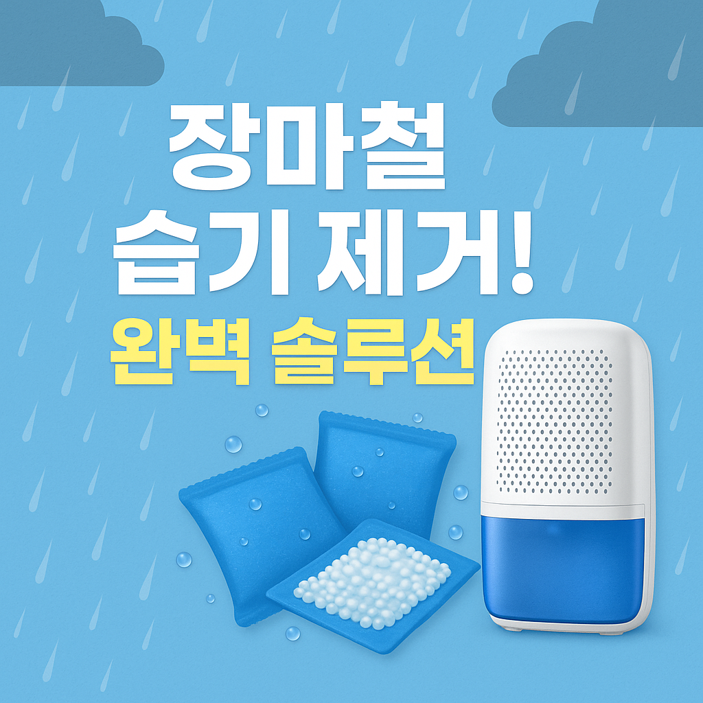 장마철 습기 제거 완벽 솔루션