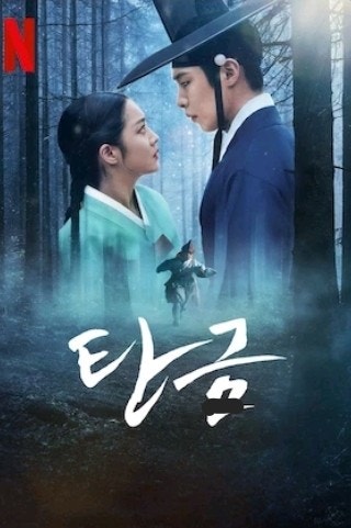 드라마 탄금 관련 사진