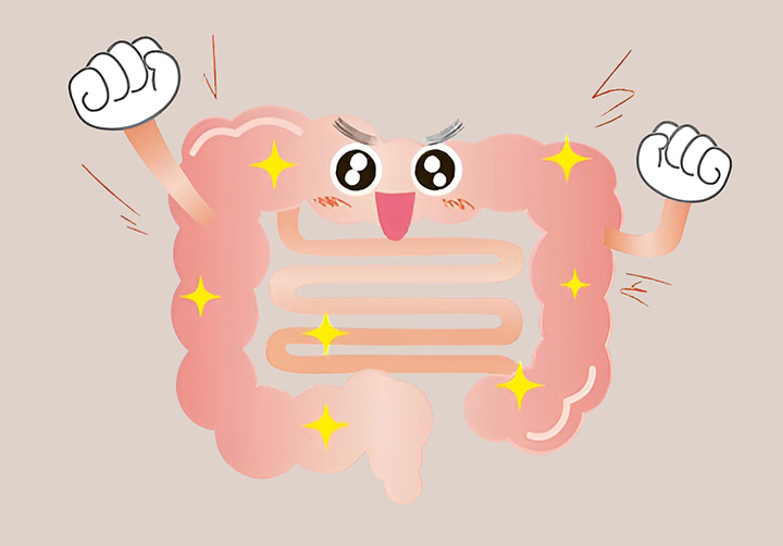 건강한-소화기관