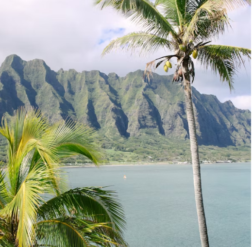 하와이 여행 추천 일정 – 4박5일 렌트카 여행 코스