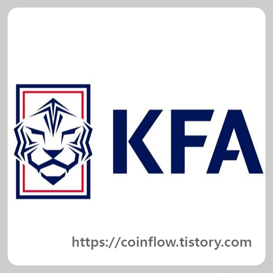 홍명보 감독 선임