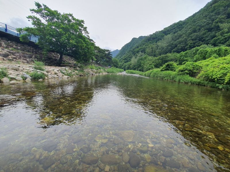 남천계곡