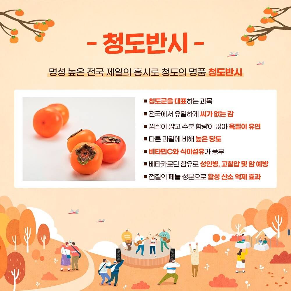 경북청도반시