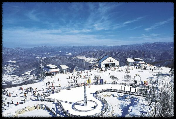 1월 27일 임시공휴일 확정! 꿀같은 설 연휴 준비하기