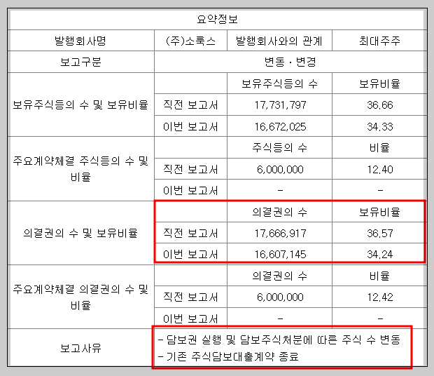 주식등의 대량보유상황보고서