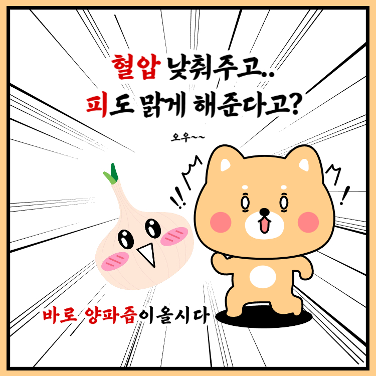 양파즙 효능 부작용 복용법 완벽정리(+양파즙 하루섭취량)