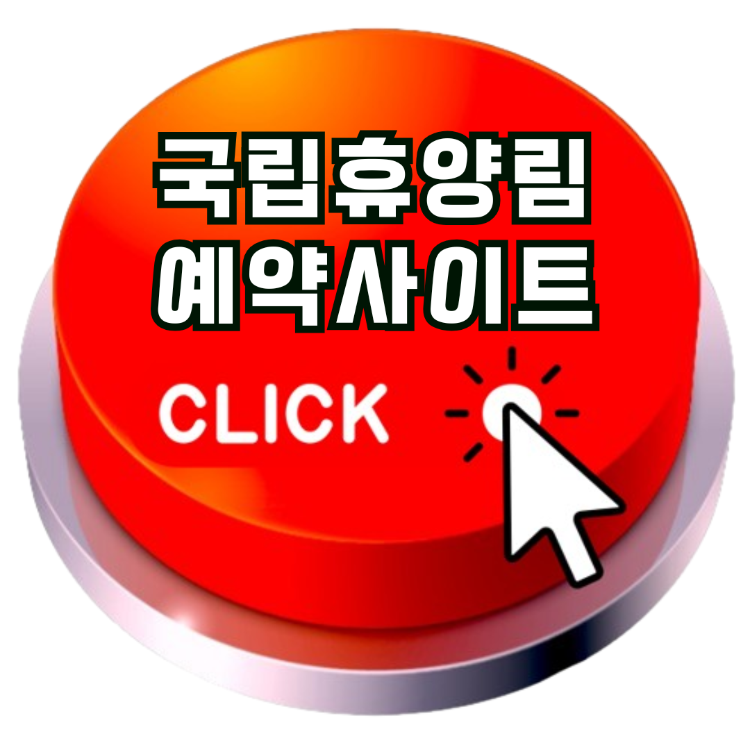 숲나들이