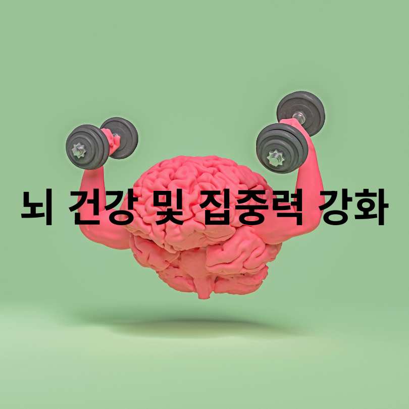 다크초콜릿 효능