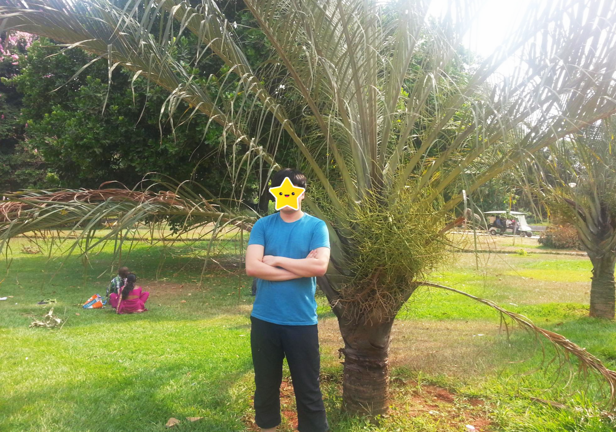 인도 벵갈루루 열대수