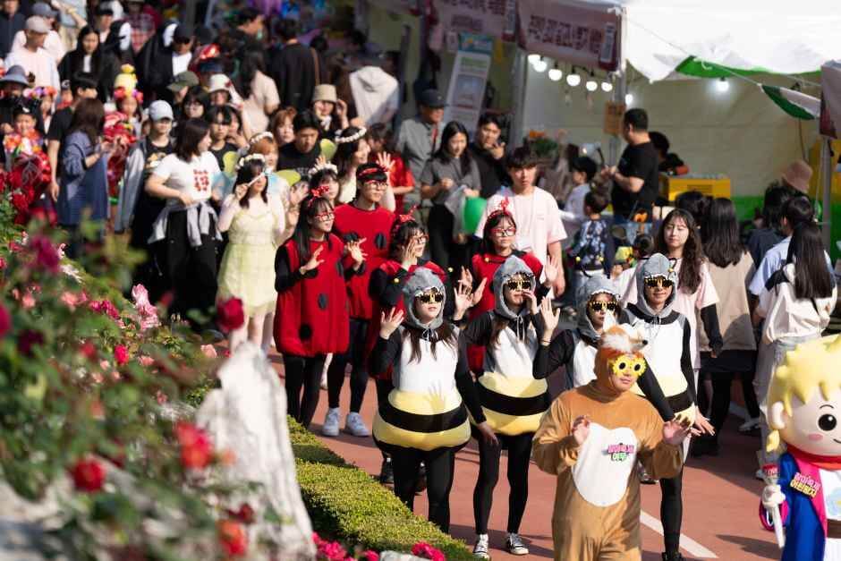 삼척 장미축제 일정 입장료 주차장