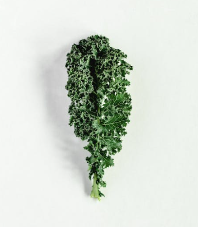 전립선에 좋은 음식