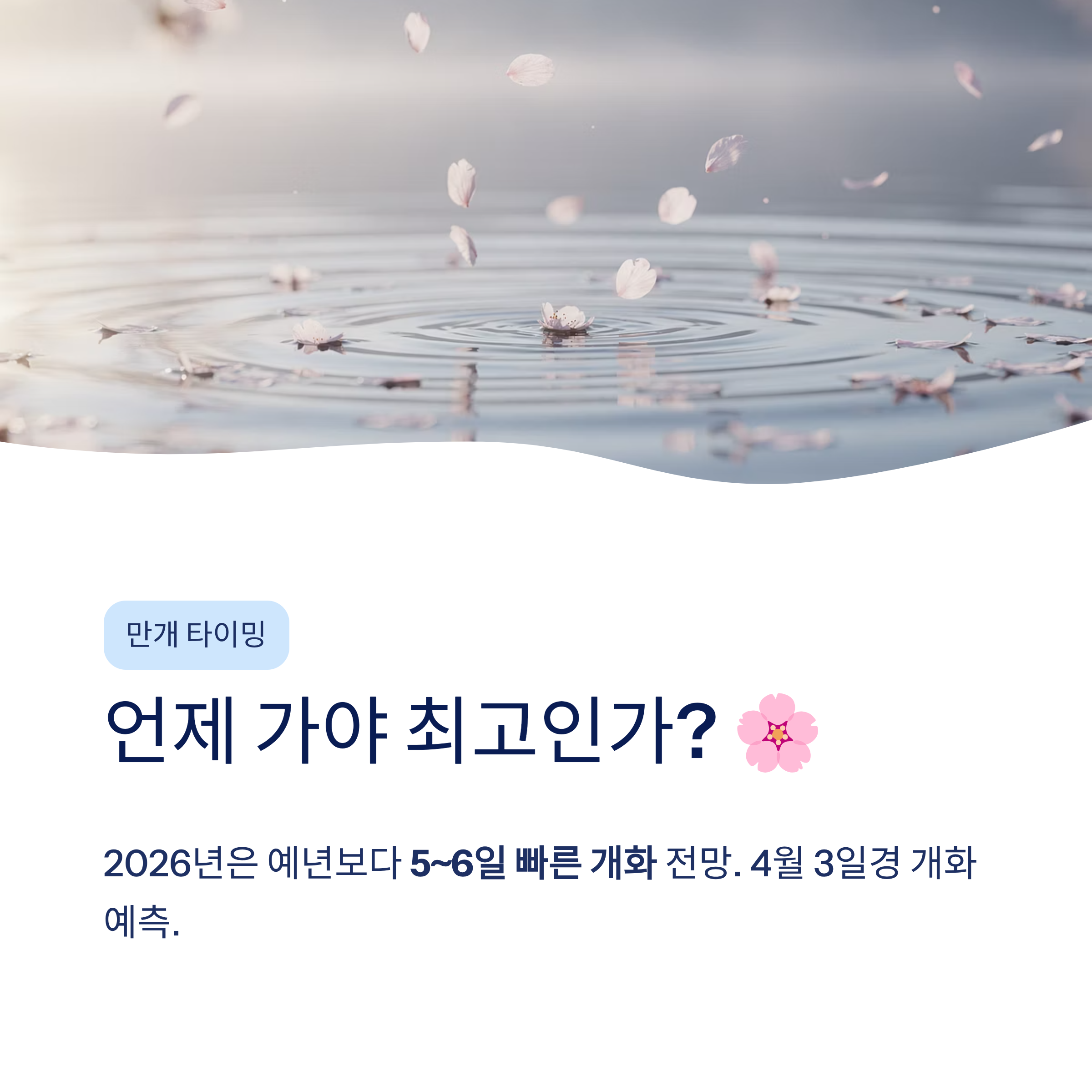 석촌호수 벚꽃 달리기 산책 코스 완벽 가이드❘2026 벚꽃축제·러닝·야경까지 총정리