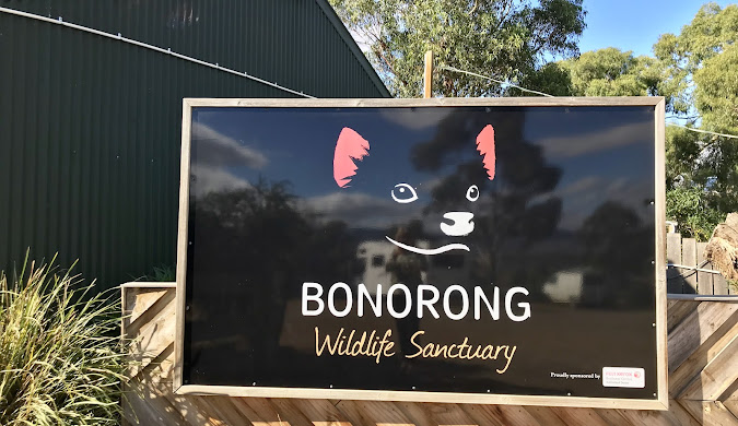 태즈메니아여행 관련사진