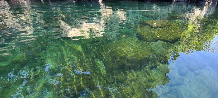 제주도여행 쇠소깍 카약타기 제주도레저 제주도 즐길거리 카약타러가는길 쇠소깍의미 쇠소깍전설 쇠소깍선착장 쇠소깍시작지점 쇠소깍풍경감상 쇠소깍맑은물