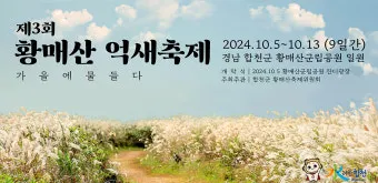 서울 억새축제 2025 일정위치 총정리로 안내_3