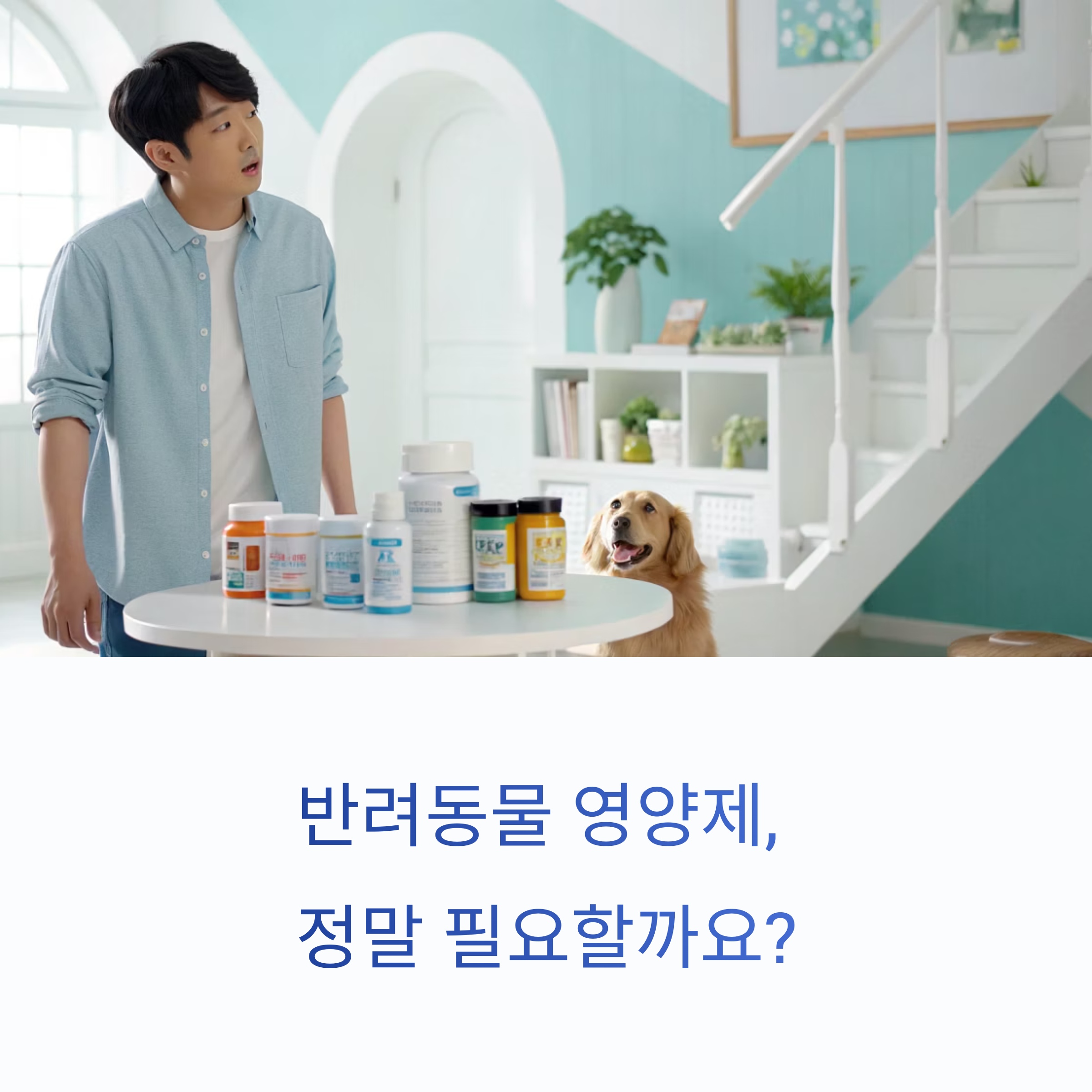 반려동물 영양제, 정말 필요할까요?