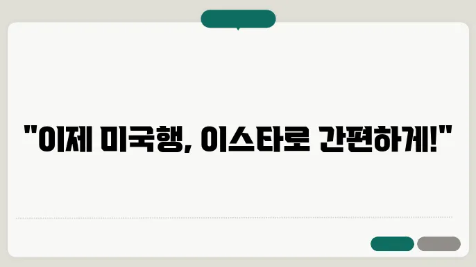 미국 이스타 신청