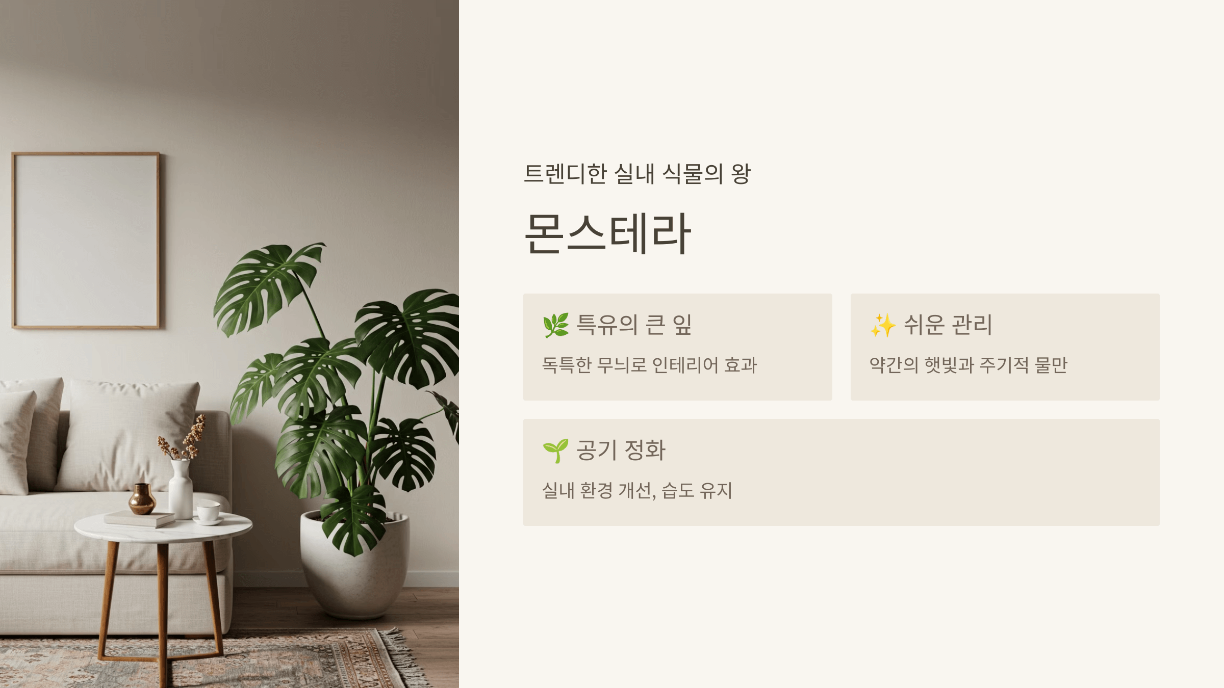 몬스테라