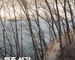 오르막 없이 평탄하게 걷는 강변 길! 원주 섬강 자작나무숲길 유모차·어르신 동반 코스 추천