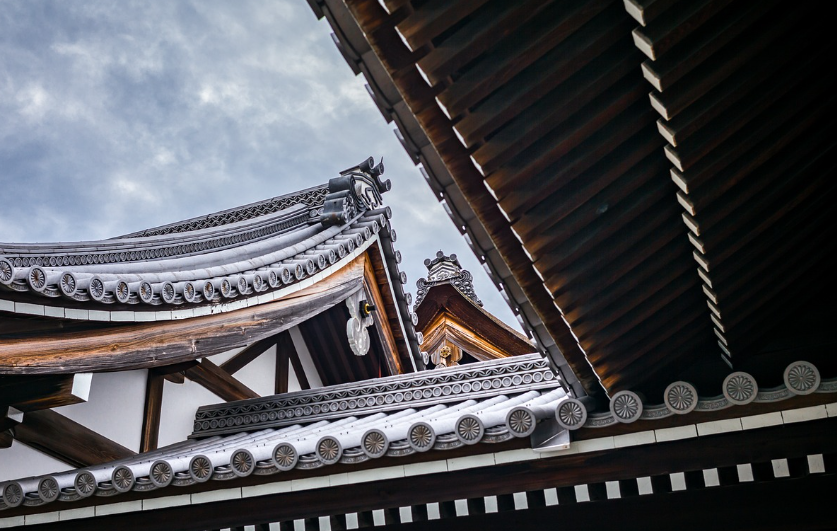 문화와 기술의 교차 지점