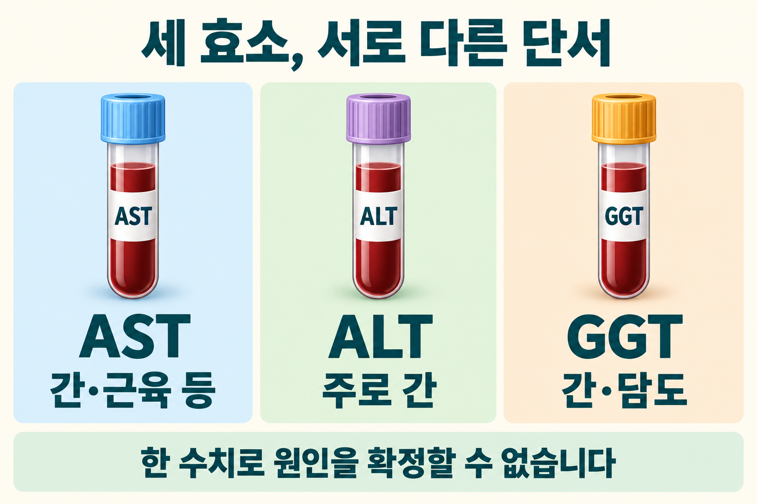 ALT&middot;AST&middot;GGT가 서로 다른 단서를 주며 단독으로 원인을 확정하지 못함을 나타낸 그림