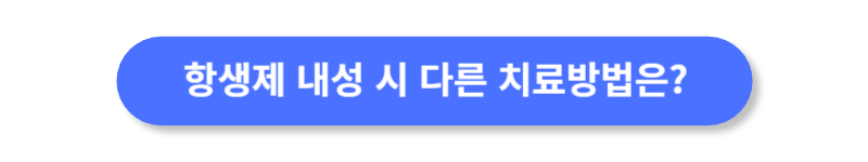 버튼