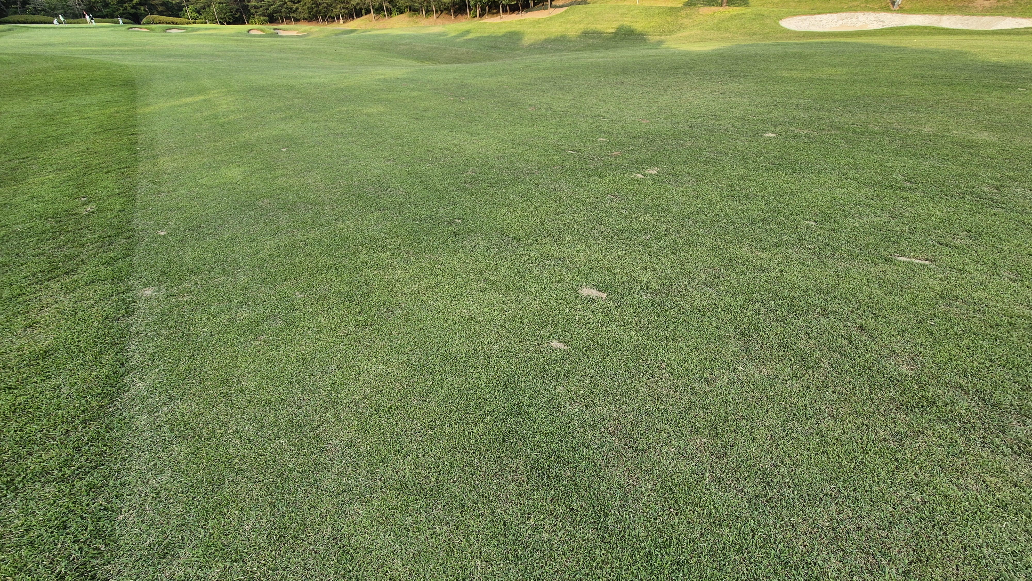 이포cc 라운드 후기