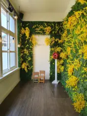 명월초등학교 복도 - 우측 초록풀과 노란꽃이 전면으로 뒤덮힌 이미지