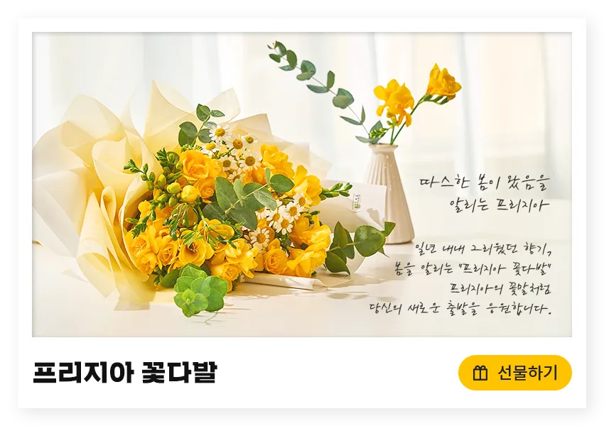 프리지아 수선화 꽃말 꽃다발 선물 의미_6