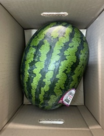 부여굿뜨래수박