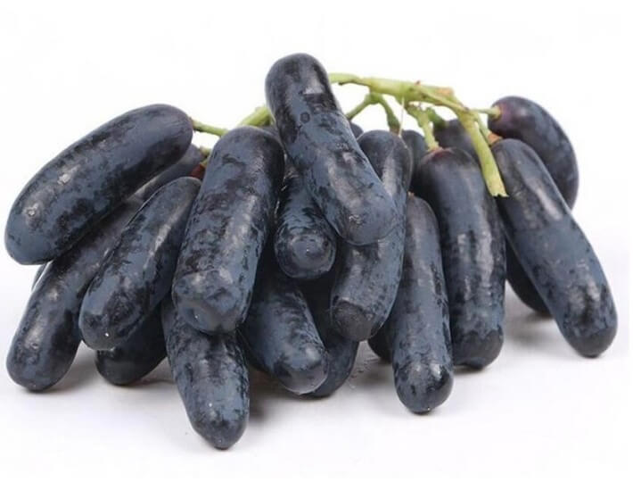 블랙사파이어-포도-사진입니다.