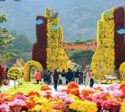 11월 단풍축제 가볼만한곳 BEST 10