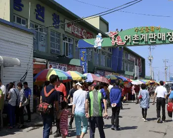 서천 홍원항 자연산 전어 꽃게 축제12