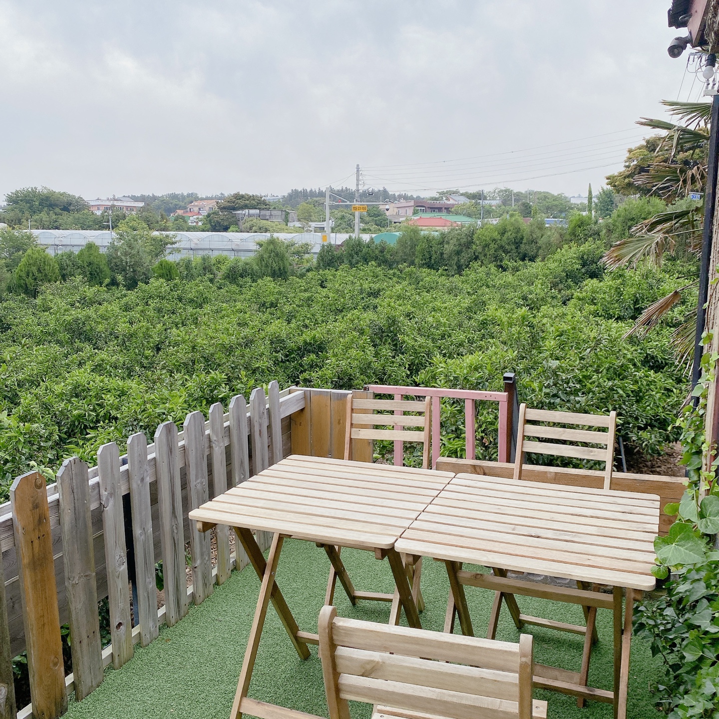 납읍난대림 금산공원 제주 애월 수플레 팬케이크 맛집 브런치 카페 애월후식