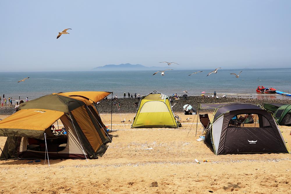 인천 십리포해수욕장 야영장 소개