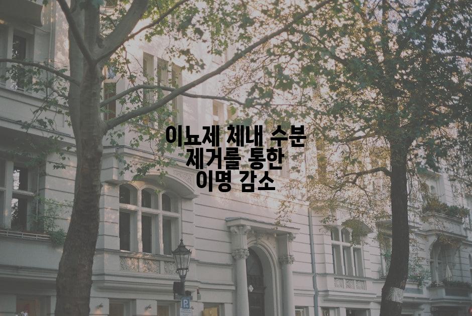 이뇨제 체내 수분 제거를 통한 이명 감소