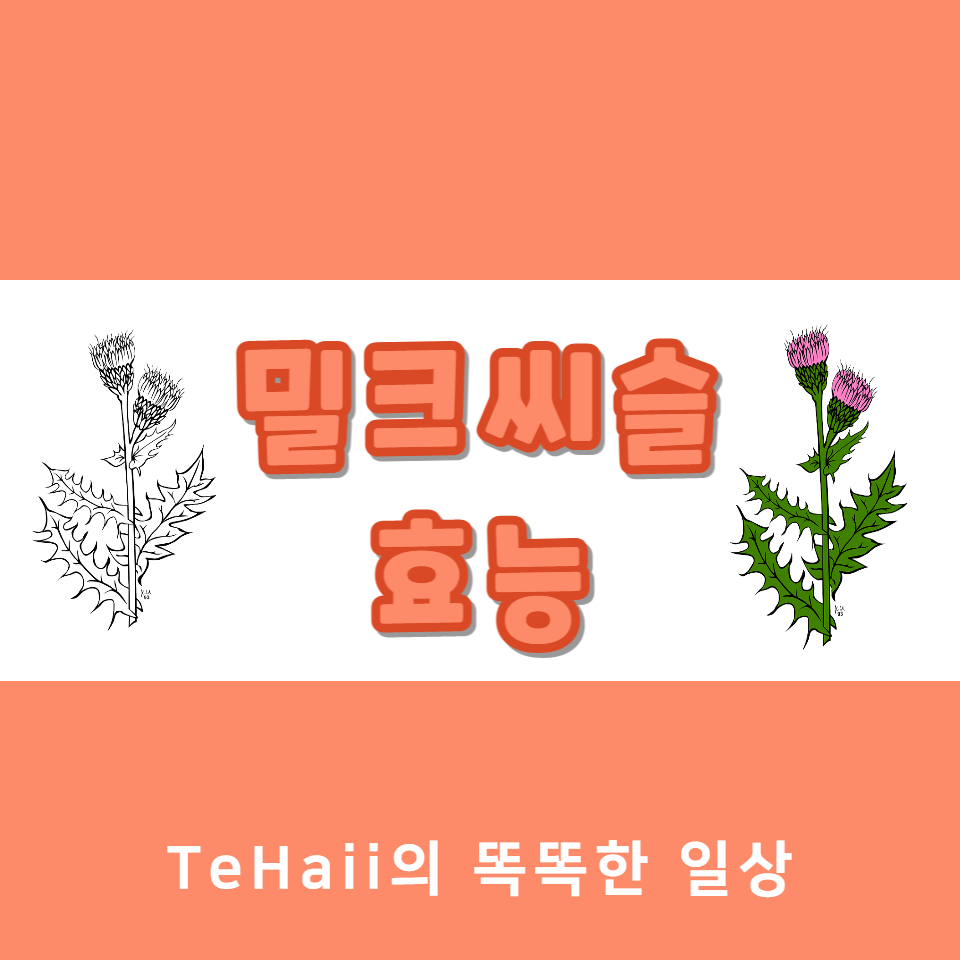 밀크씨슬 효능