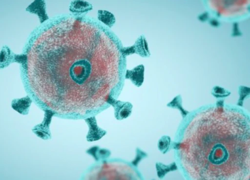 공진단-효능-먹는법-건강