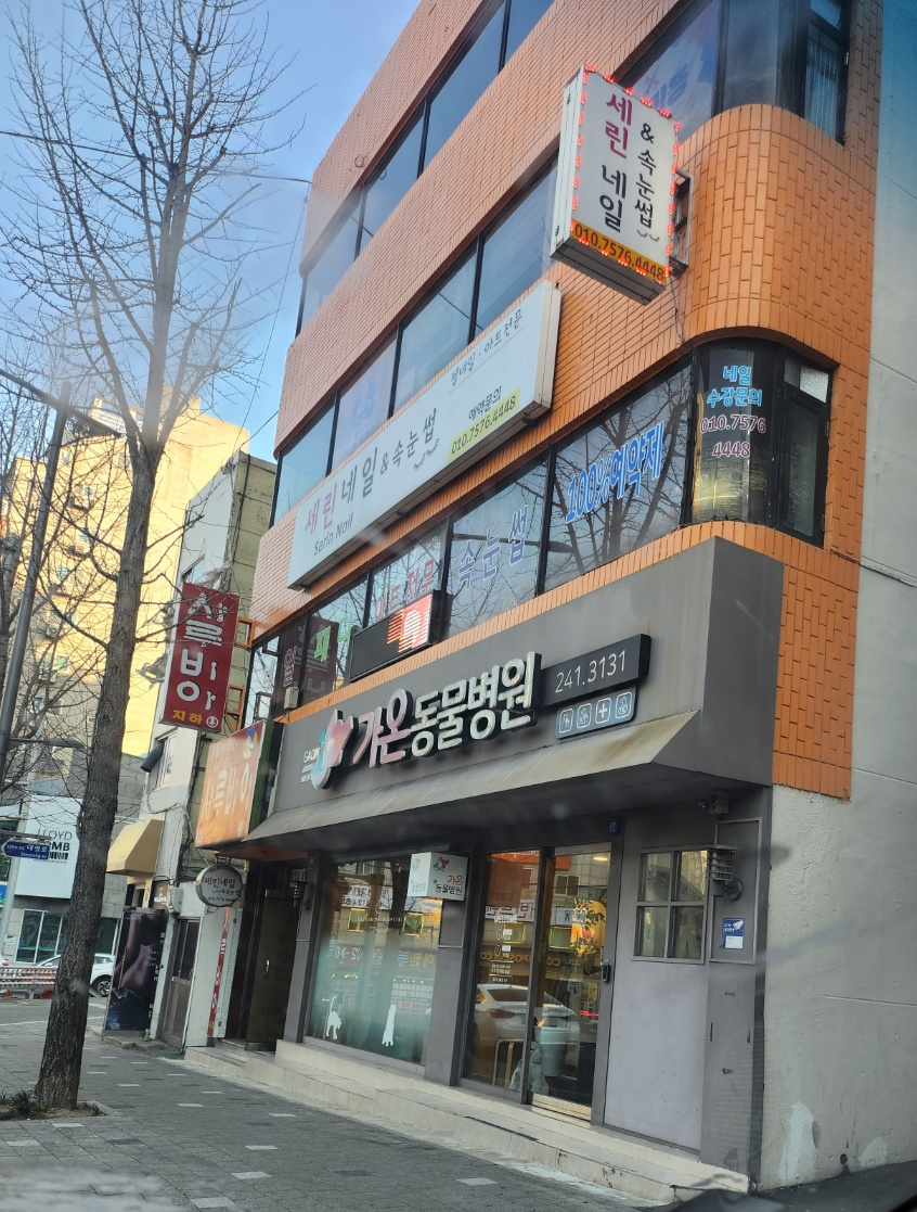 가온동물병원 3층 개편한집