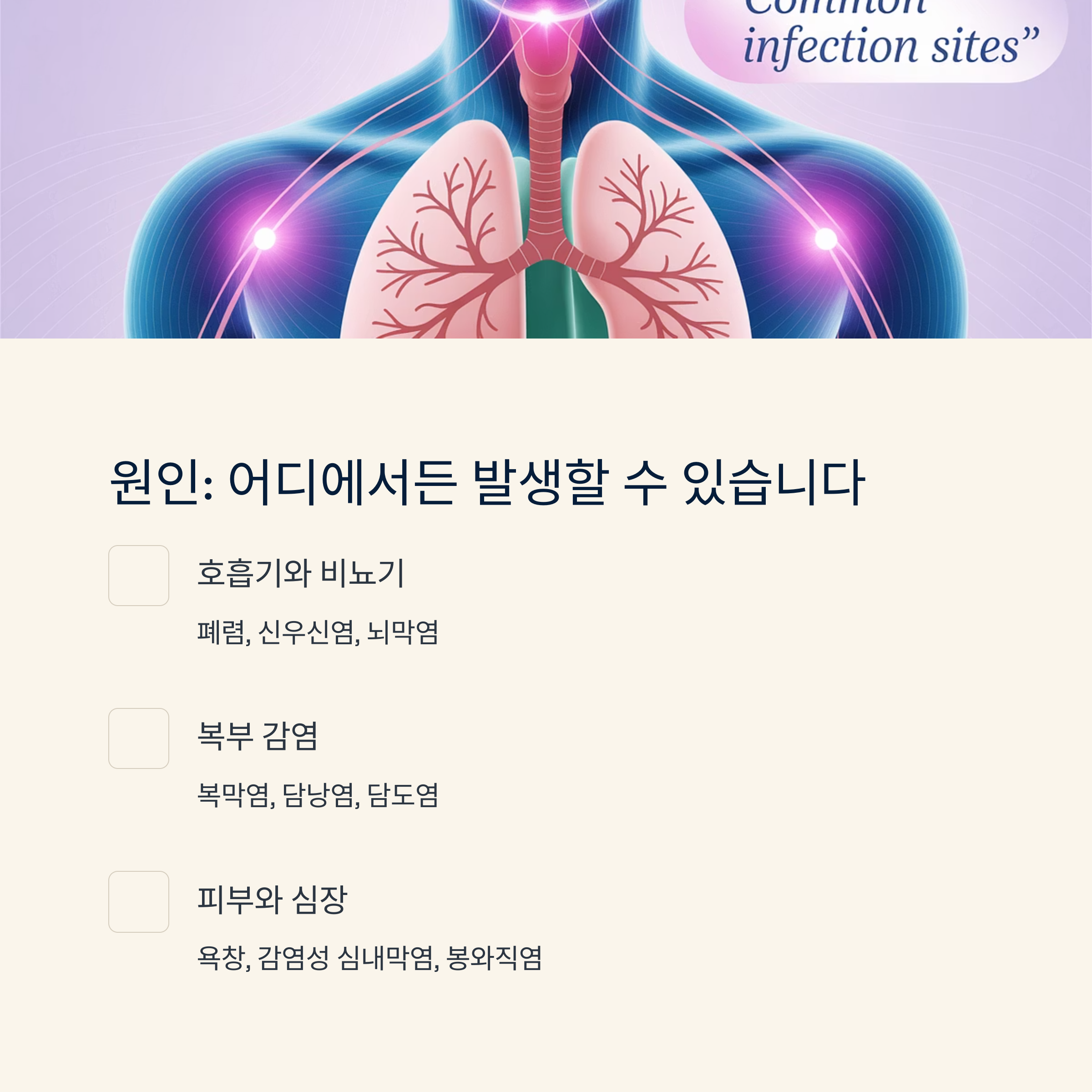 폐와 장기 일러스트를 배경으로, 패혈증의 주요 감염 원인 부위(호흡기, 복부, 피부 등)를 구분한 이미지