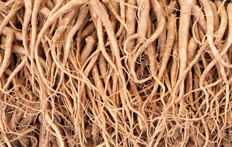 도라지 보관방법